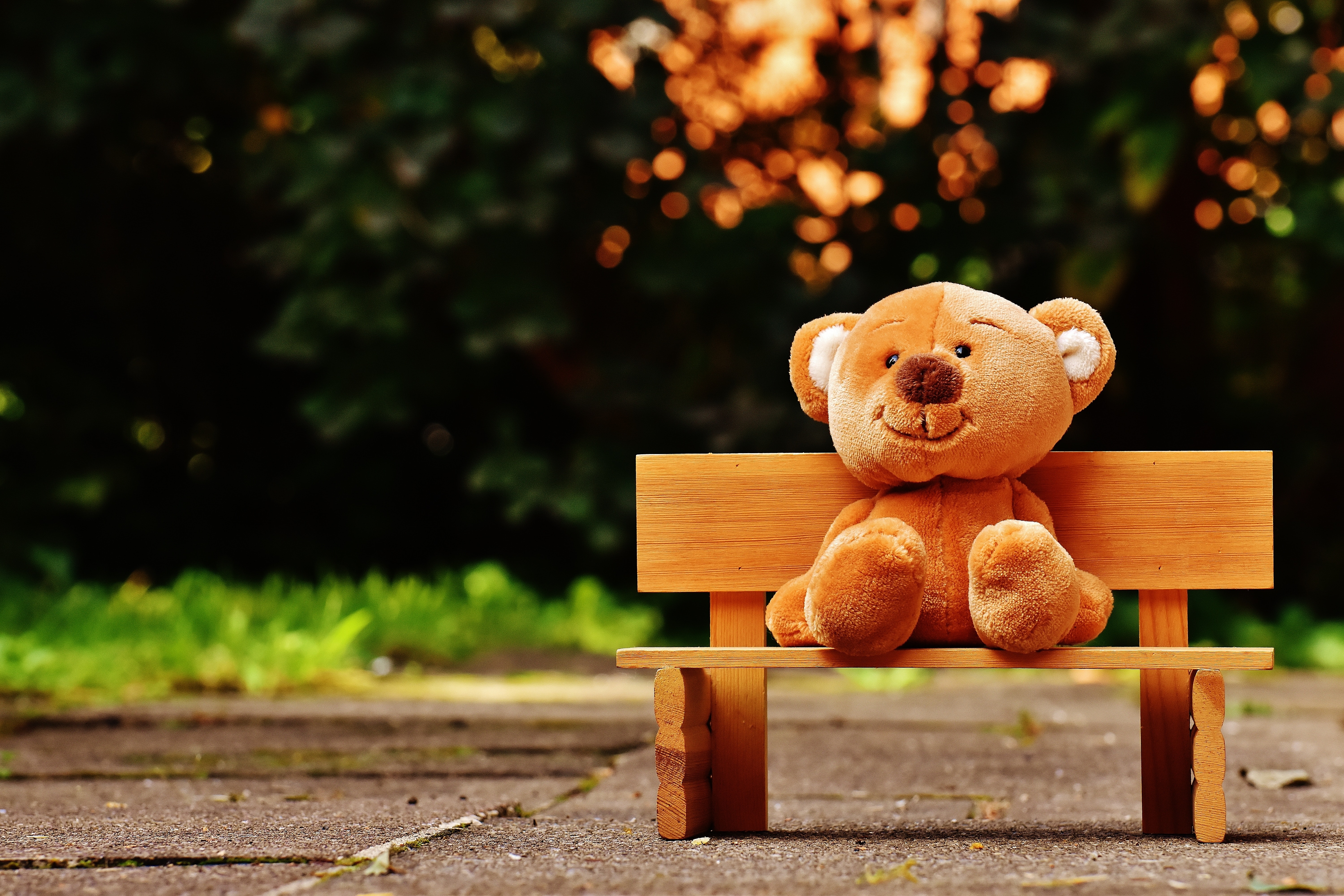 bear-bench-child-207891 bear-bench-child-207891